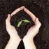 Composting in 2021
